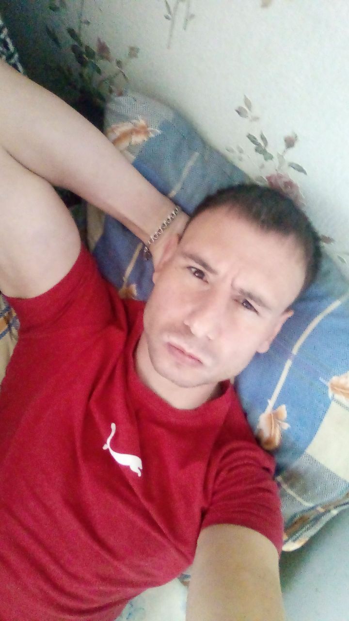  51533555  , 33 ,    