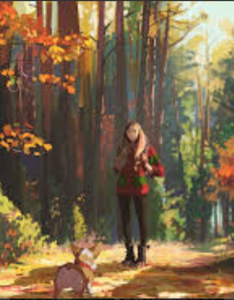 ���� 52695075 ������� �������, 49 ���, ���� ���������� � ����