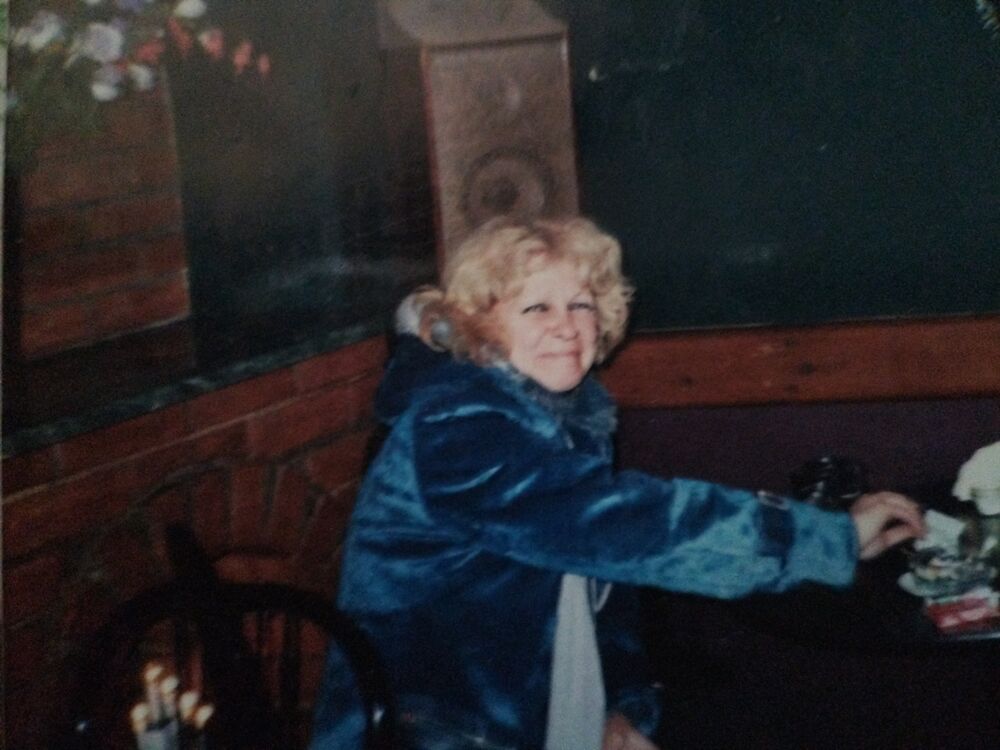  54497225  , 48 ,    -