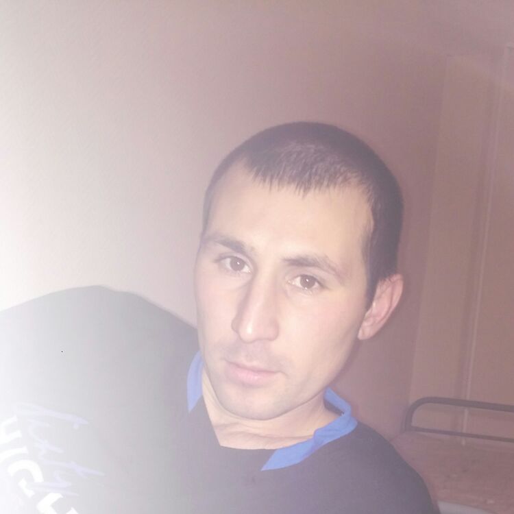  8382295  , 38 ,    -