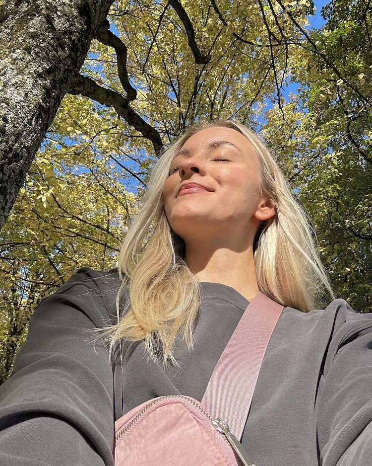 ���� 40893335 ������� ����, 36 ���, ���� ���������� � ������