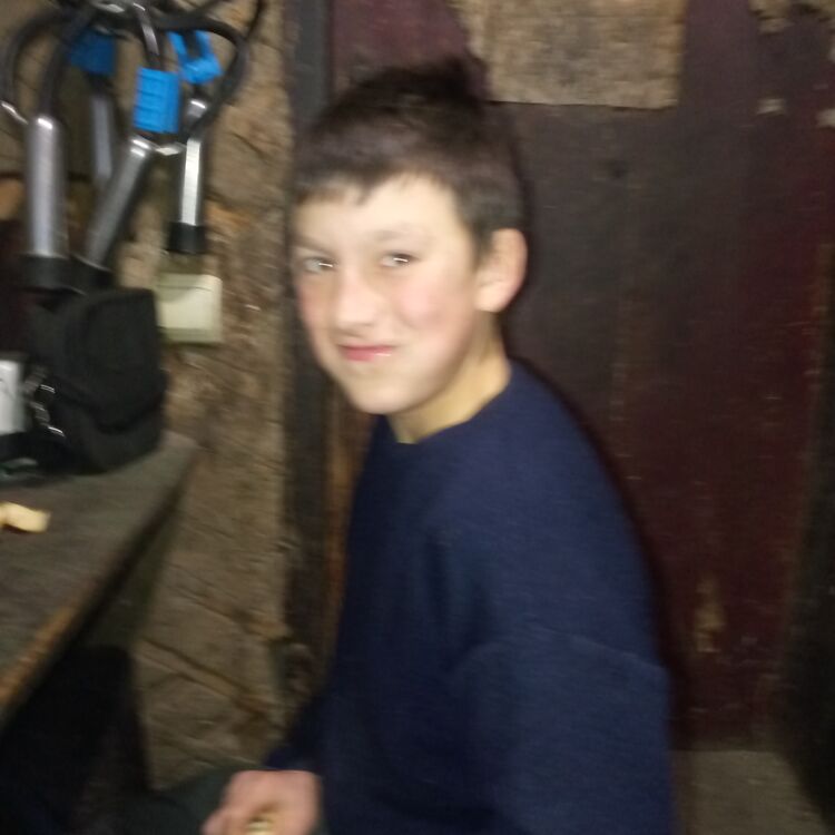  48096305  , 26 ,    