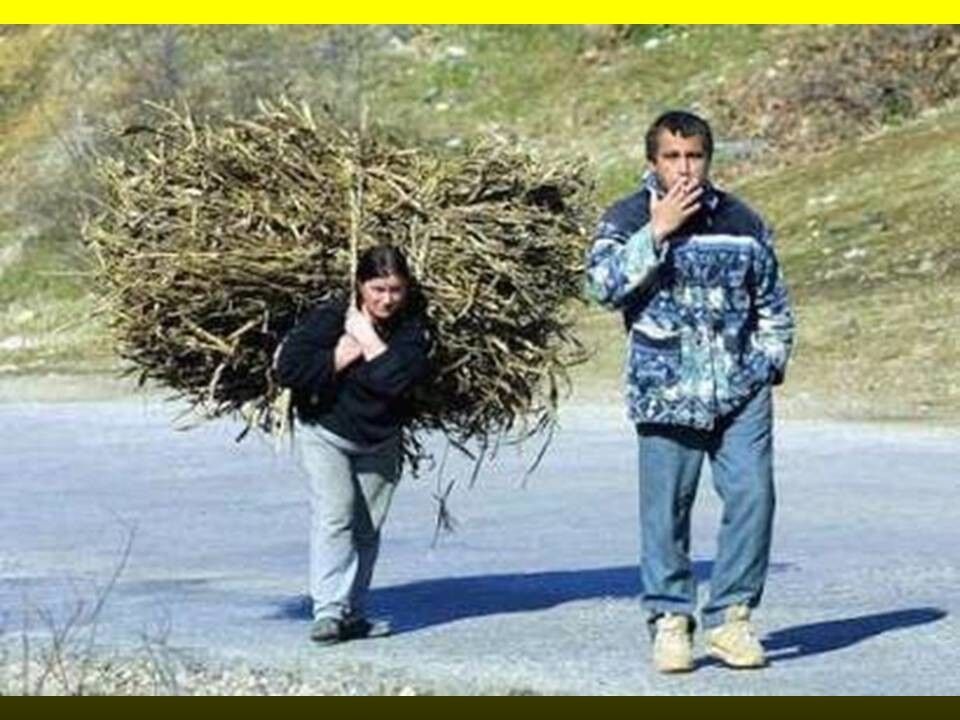 ���������� �������, ���� ������� ����, 43 ����, ������������ ��� ������, ����� � ���������, c�������� ���������