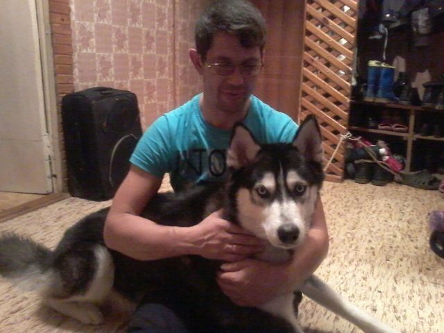 ���� 7866665 ������� �������, 49 ���, ���� ���������� � ���������