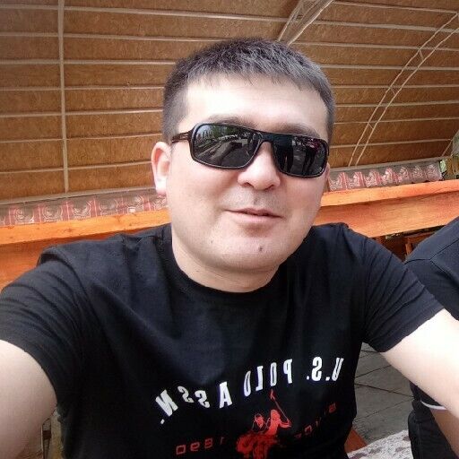  31399175  , 43 ,    