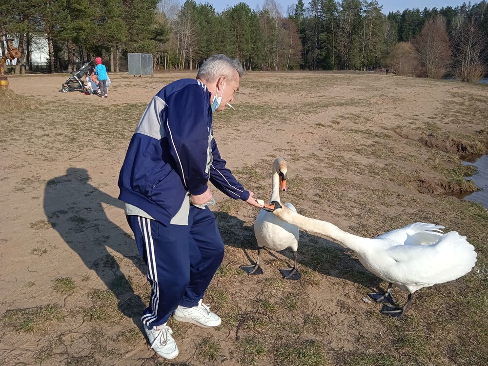 ���������� �����, ���� ������� ������, 63 ����, ������������ ��� ����� � ���������, c�������� ���������