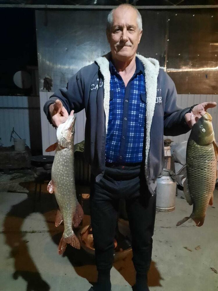  --,   , 59 ,   ,   
