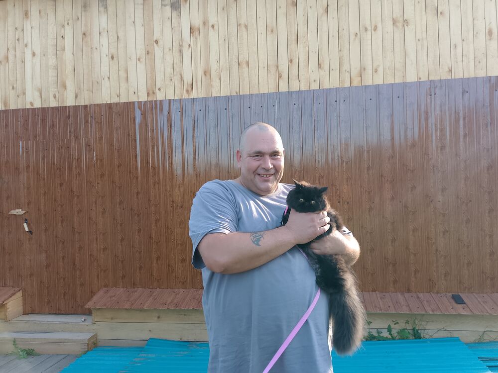 ���� 55011595 ������� �����, 48 ���, ���� ���������� � �������