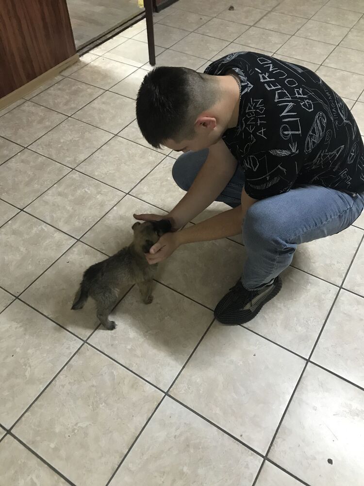 ���������� ������������, ���� ������� �����, 27 ���, ������������ ��� ������, ����� � ���������