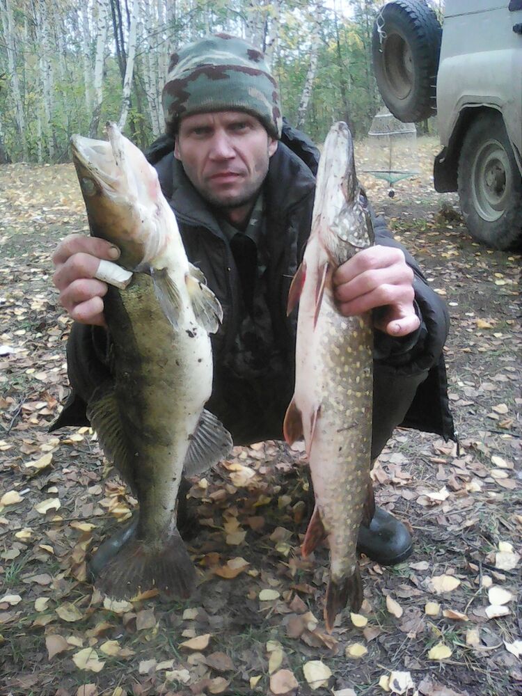 ���������� ���������, ���� ������� �����, 46 ���, ������������ ��� ������, ����� � ���������, c�������� ���������