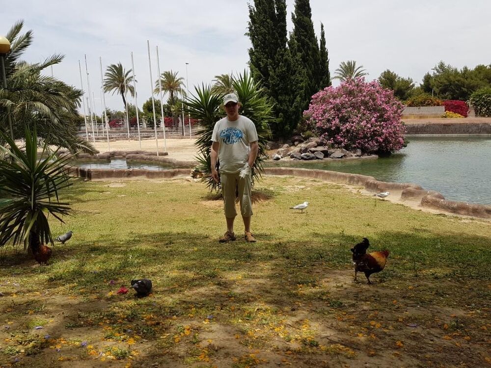 ���� 25882375 ������� ������, 55 ���, ���� ���������� � ������