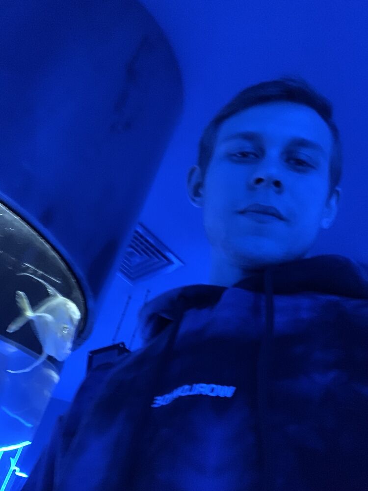 ���� 31210485 ������� ������, 29 ���, ���� ���������� � ������������