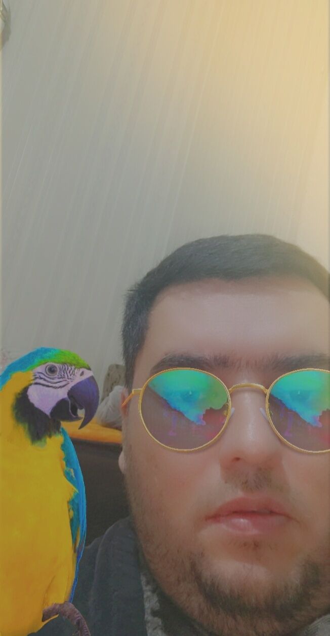 ���� 25195205 ������� Bexruz, 36 ���, ���� ���������� � ��������