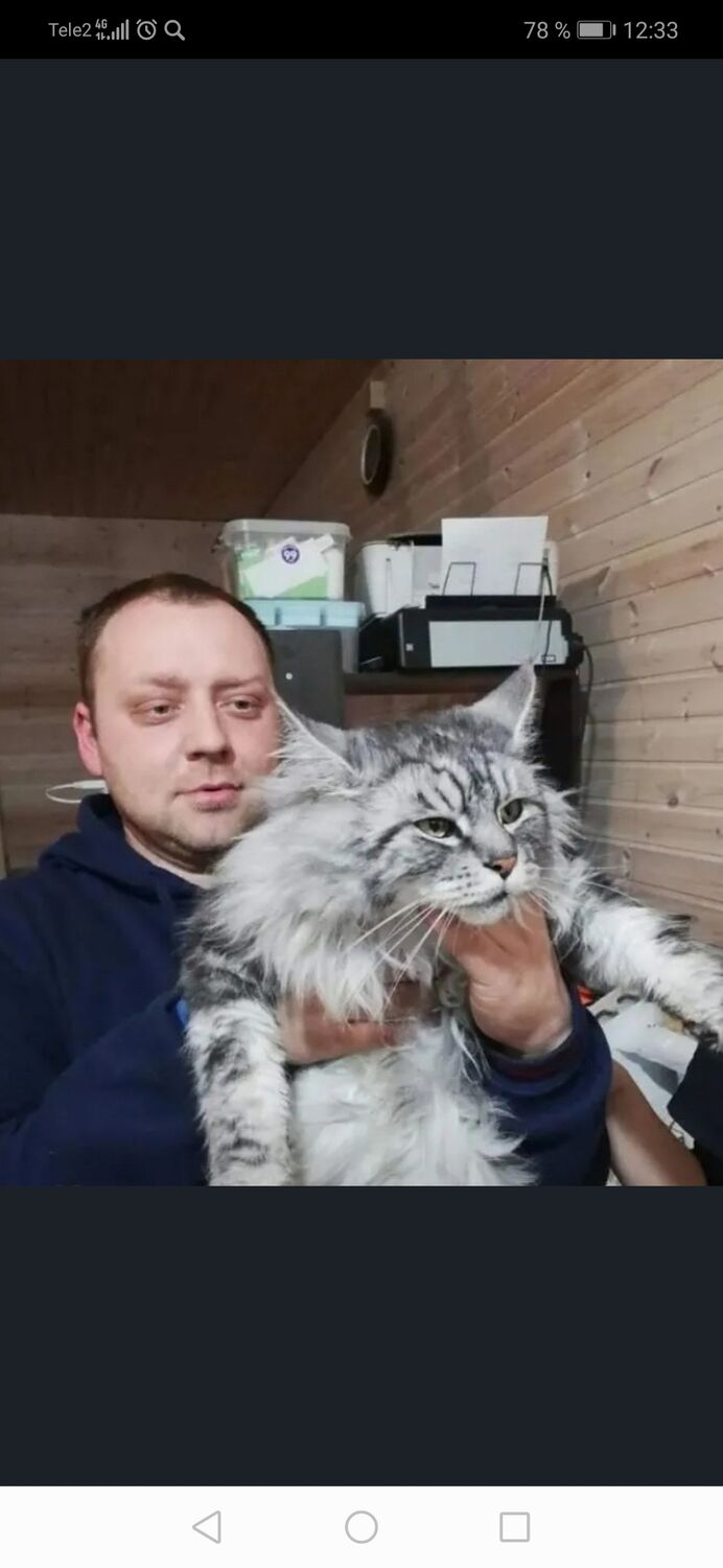 ���������� ���������, ���� ������� ����, 42 ����, ������������ ��� ������, ����� � ���������, c�������� ���������