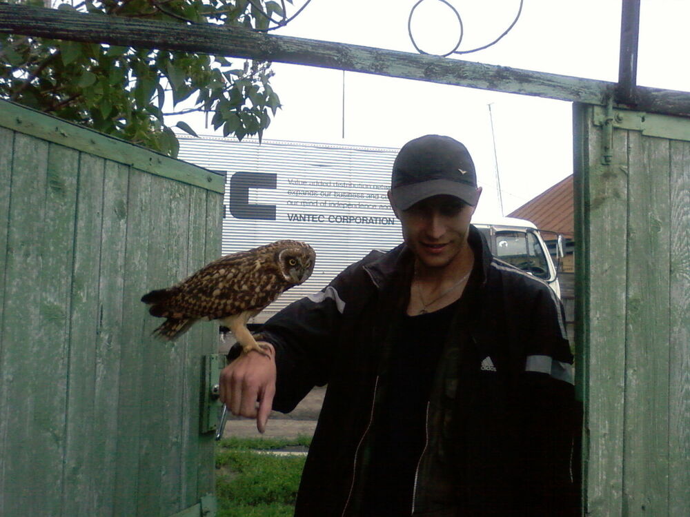 ���������� �����, ���� ������� ����, 51 ���, ������������ ��� ������, ����� � ���������, c�������� ���������