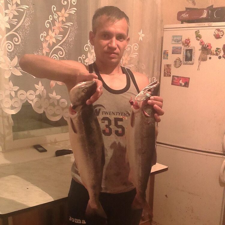  10840935  , 40 ,    -