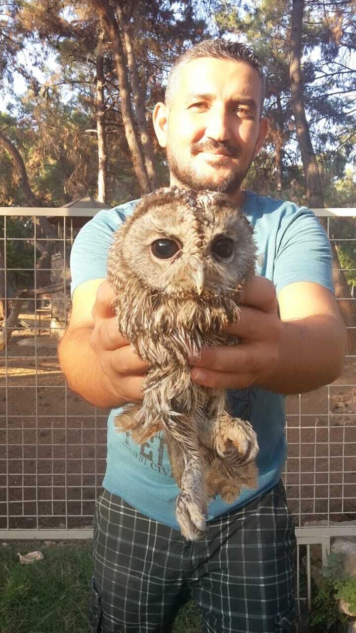 ���� 22655235 ������� ��������, 43 ����, ���� ���������� � ������