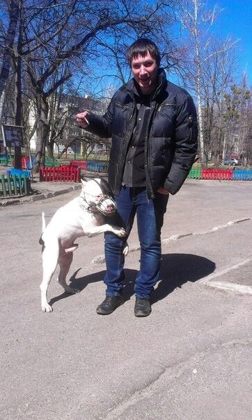 ���������� ��������, ���� ������� �������, 40 ���, ������������ ��� ������, ����� � ���������, c�������� ���������