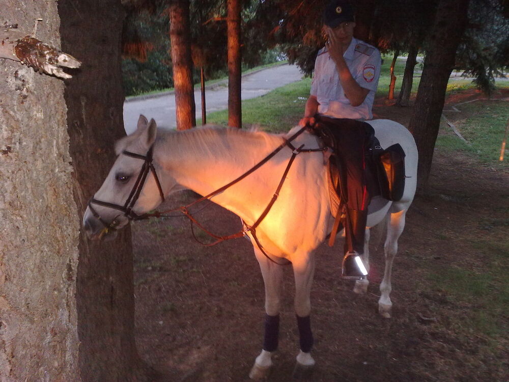 ���������� ������ ��������, ���� ������� ������, 41 ���, ������������ ��� ����� � ���������, c�������� ���������