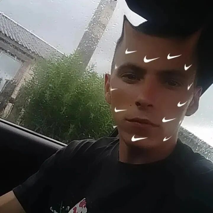  41251895  , 23 ,    