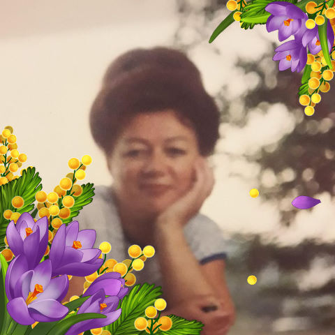 ���� 35310555 ������� ���������, 72 ����, ���� ���������� � �����������