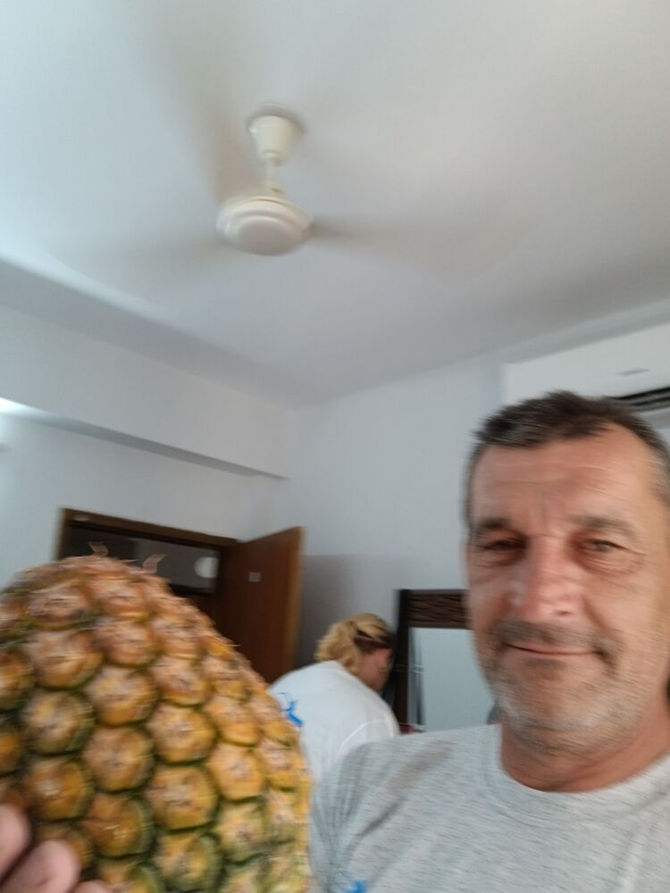  48171495  , 55 ,    