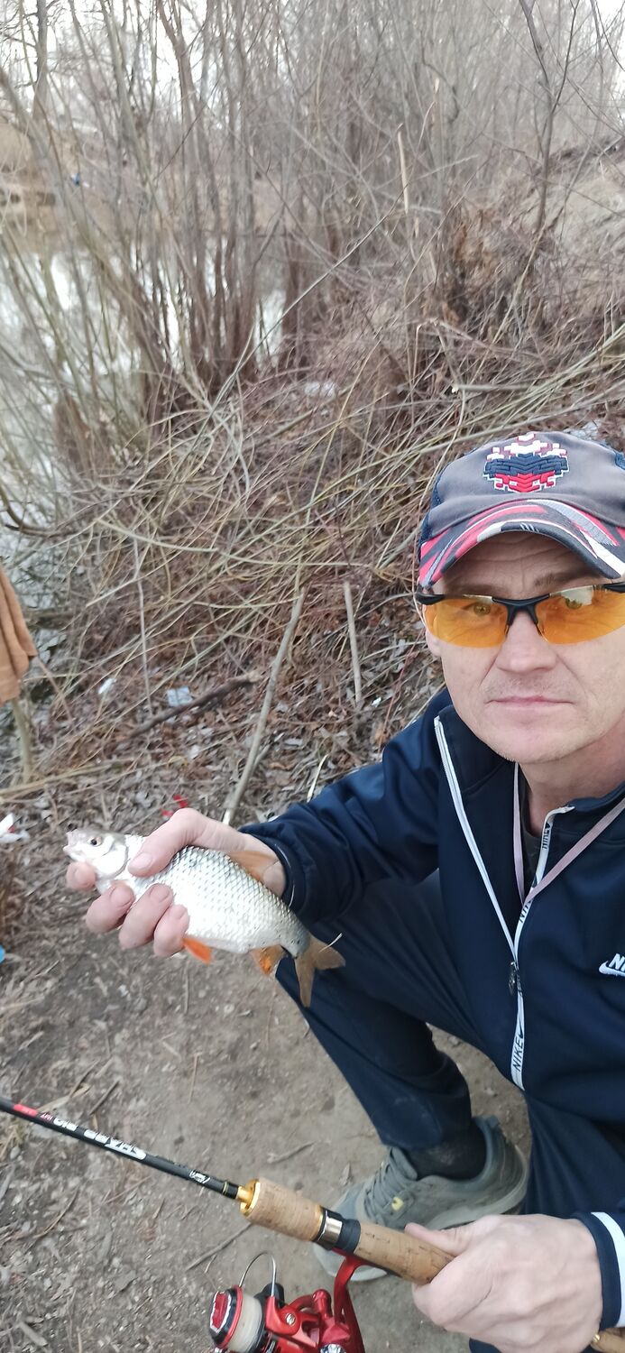 ���� 29549775 ������� ϸ��, 50 ���, ���� ���������� � ������������