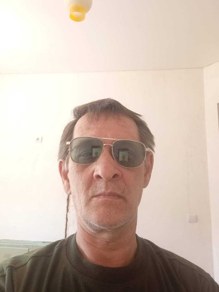 50386005  , 56 ,    