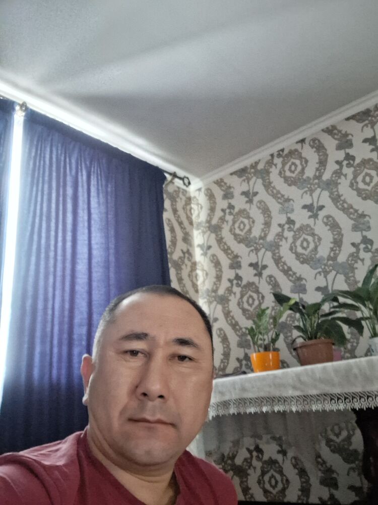  48734575  , 39 ,    