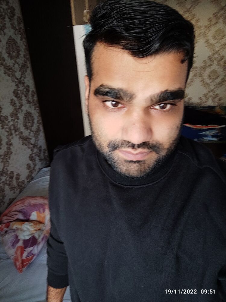 31265135  , 28 ,    