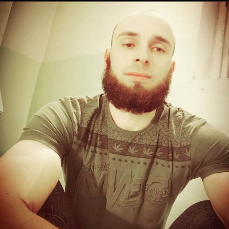  51816685  , 31 ,    