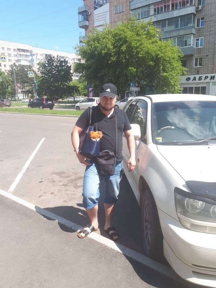  33382895  , 38 ,    