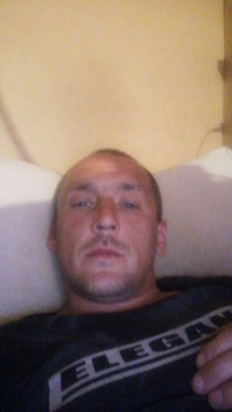 ���� 23379455 ������� ����, 44 ����, ���� ���������� � ������