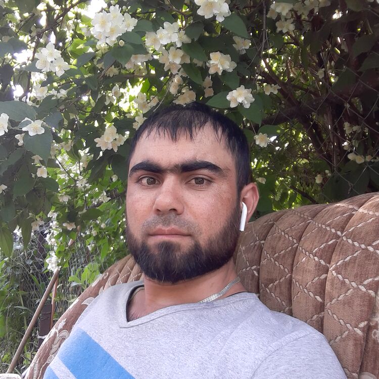 ���� 25617485 ������� ����, 36 ���, ���� ���������� � ����������