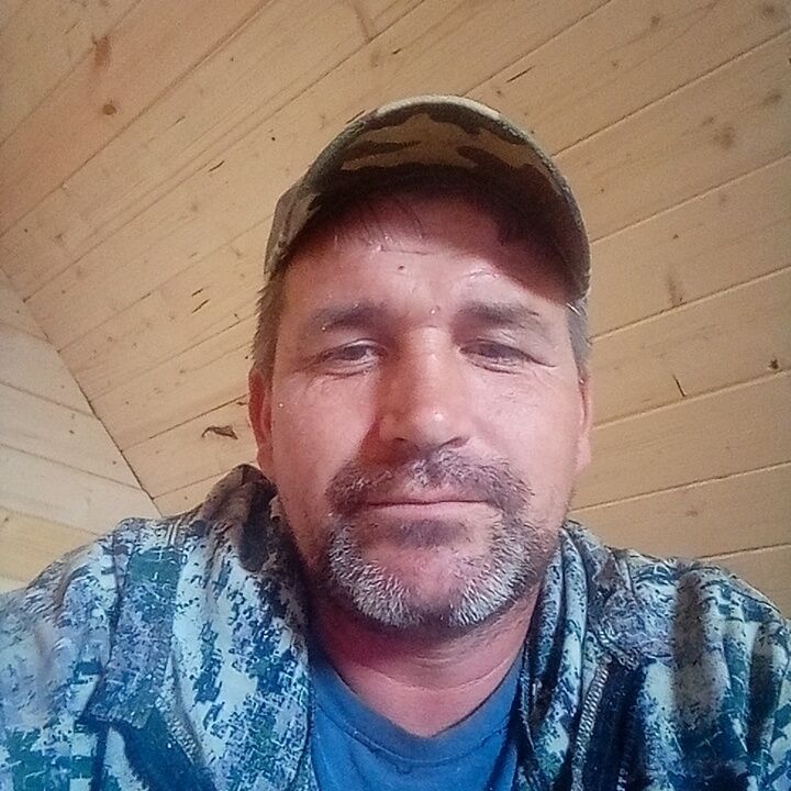  37576335  , 41 ,    