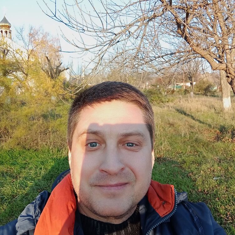 31164895  , 46 ,    