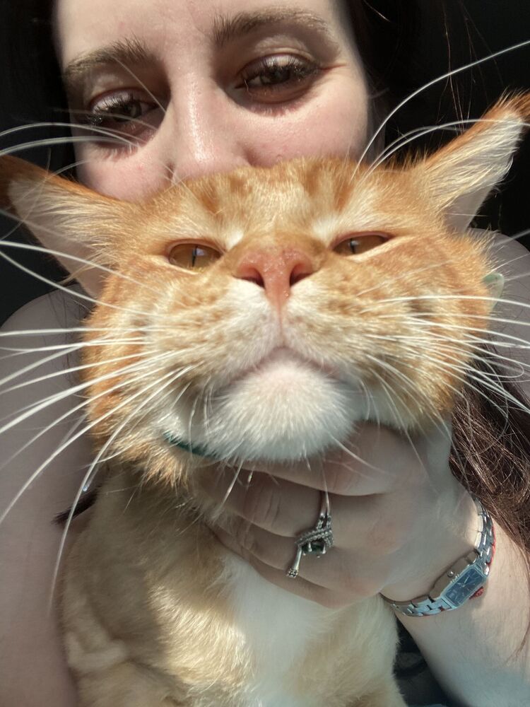  ,   , 25 ,   c 