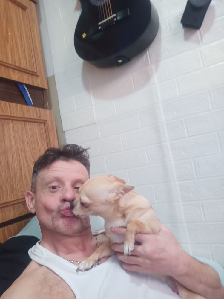 ���������� �����, ���� ������� �����, 52 ����, ������������ ��� ������, ����� � ���������