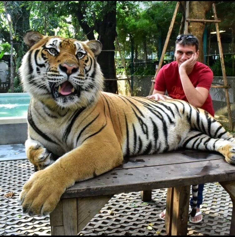 ���������� ���������, ���� ������� ���������, 38 ���, ������������ ��� ������, ����� � ���������