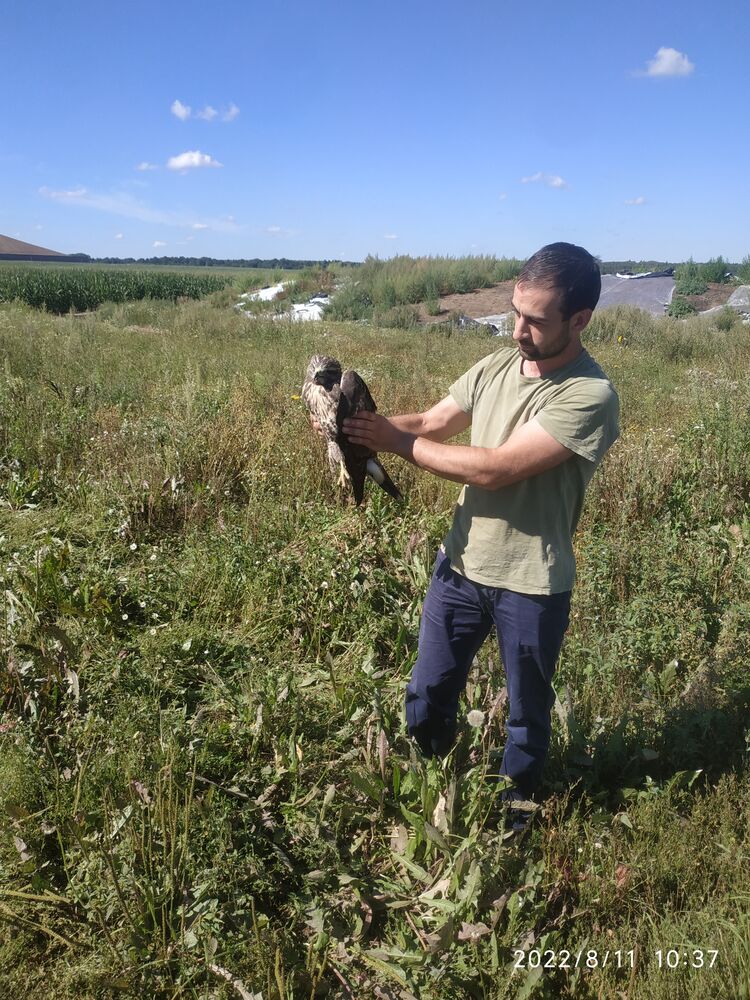 ���� 28469825 ������� Eldarik, 32 ����, ���� ���������� � ������