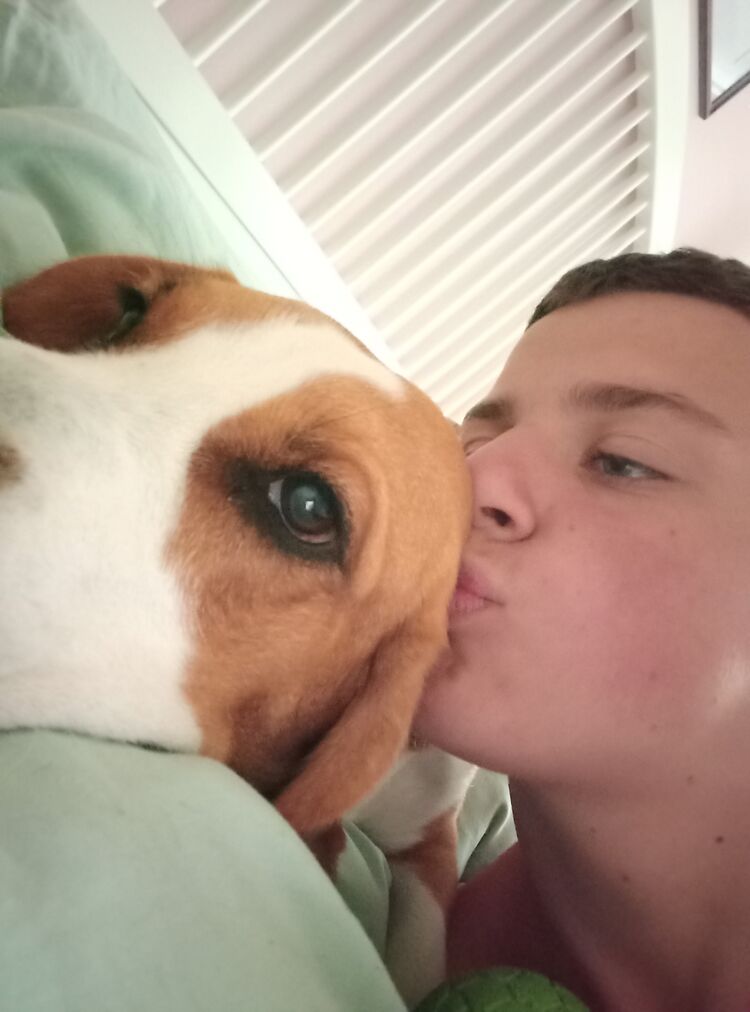  27598035  , 21 ,    -