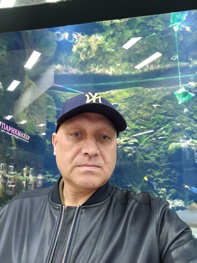  53570235  , 43 ,    