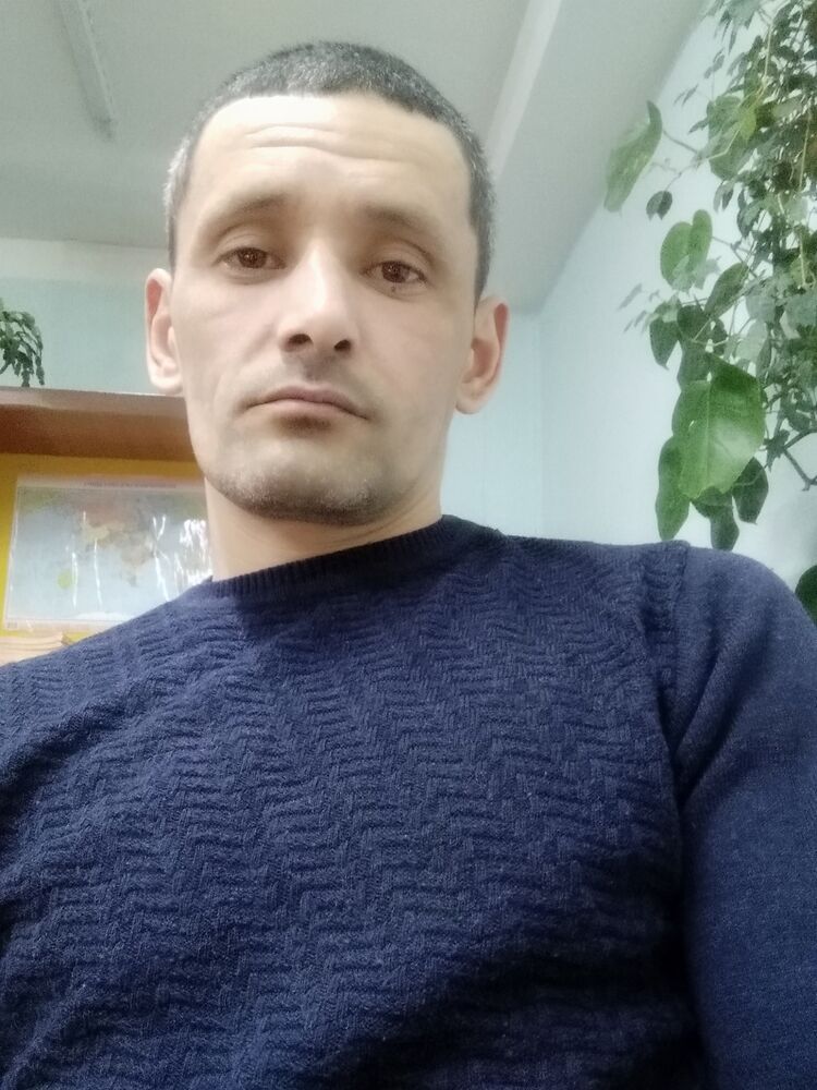  41845855  , 43 ,    