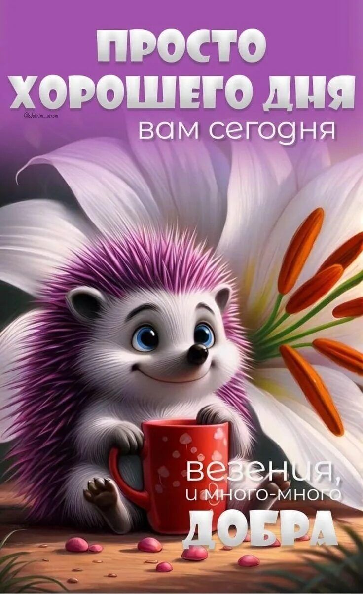 ���� 56245765 ������� �������, 33 ����, ���� ���������� � ��������