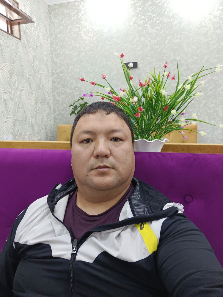  47584785  , 37 ,    