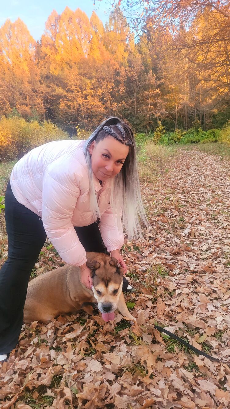 ���������� �����, ���� ������� �����, 38 ���, ������������ ��� ������, ����� � ���������