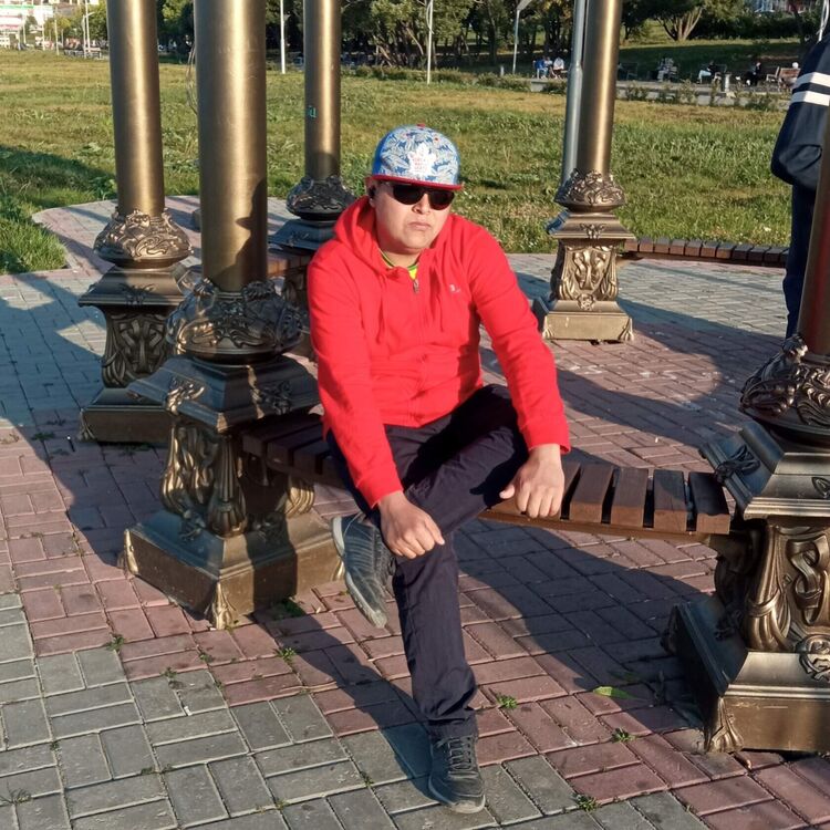  28452065  , 26 ,    