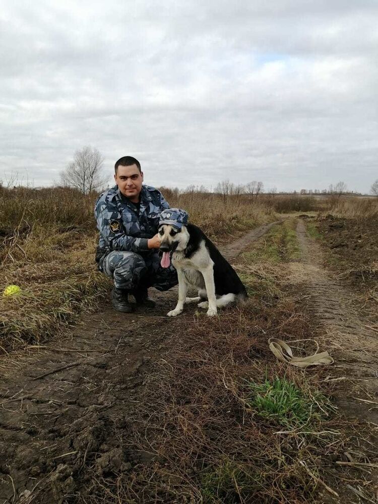 ���� 18278415 ������� �������, 30 ���, ���� ���������� � ���������