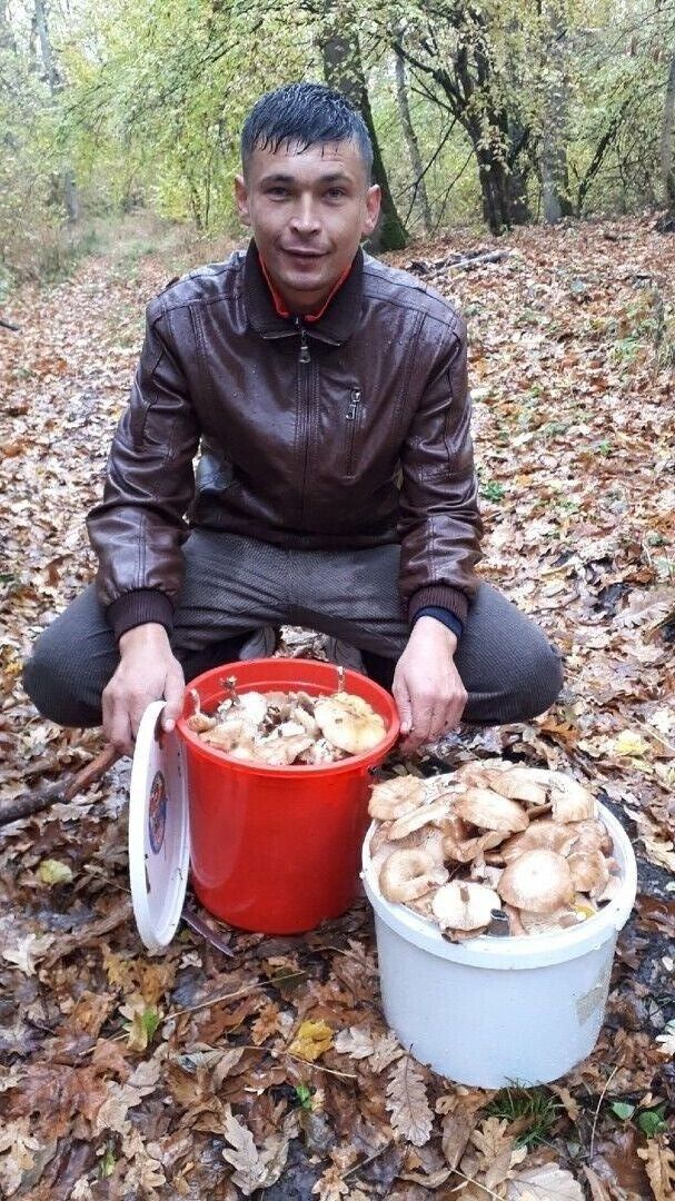 ���������� ���������, ���� ������� ���������, 35 ���, ������������ ��� ������, ����� � ���������, c�������� ���������, ���������