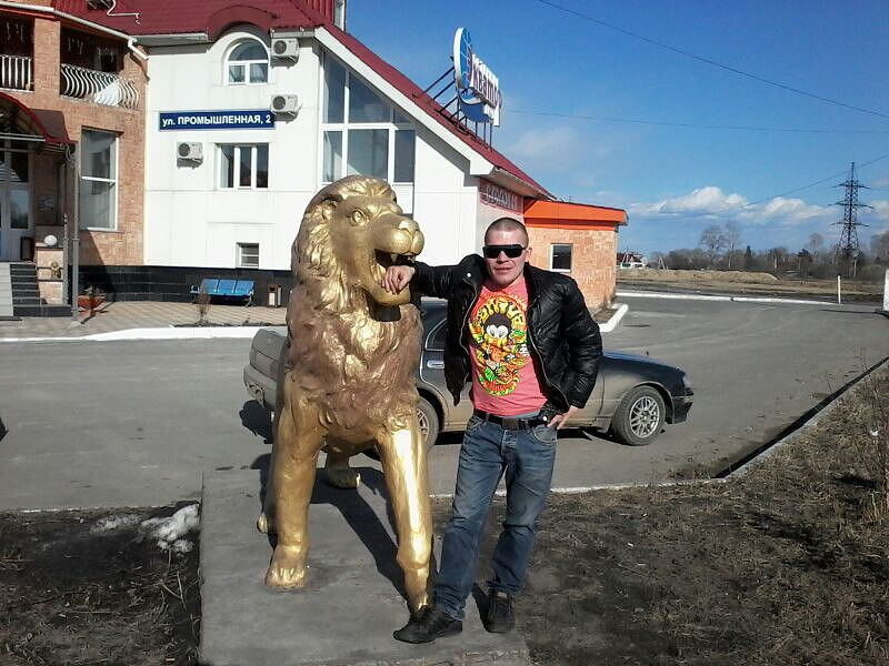 ���� 11734295 ������� ����, 40 ���, ���� ���������� � �������